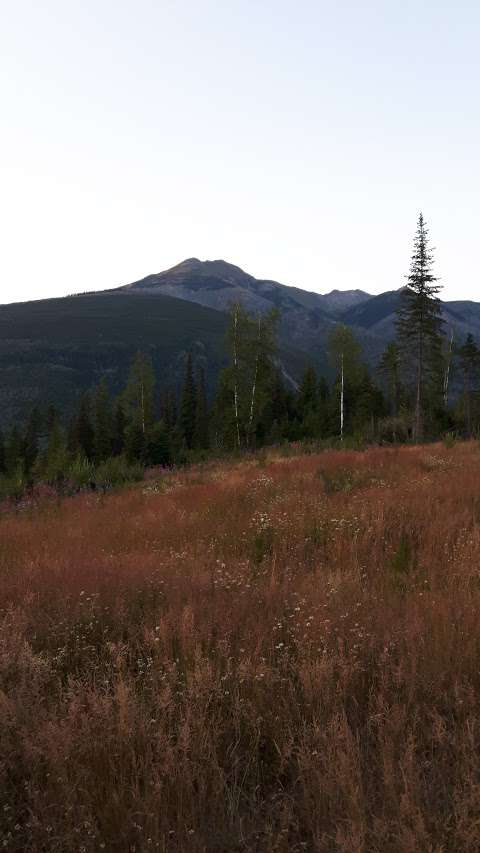 Valemount Mountain Bike Park